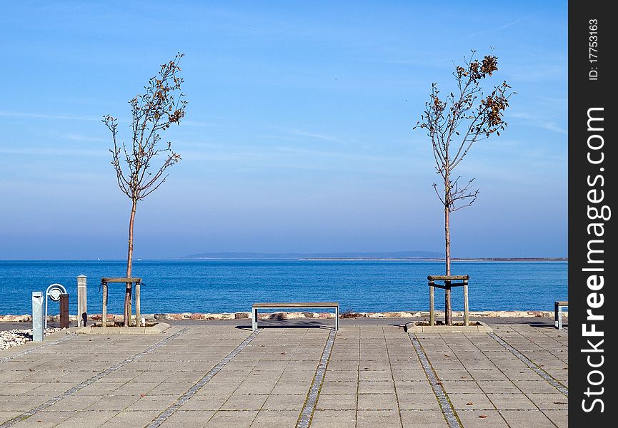 Growth background image - two young new trees by the ocean