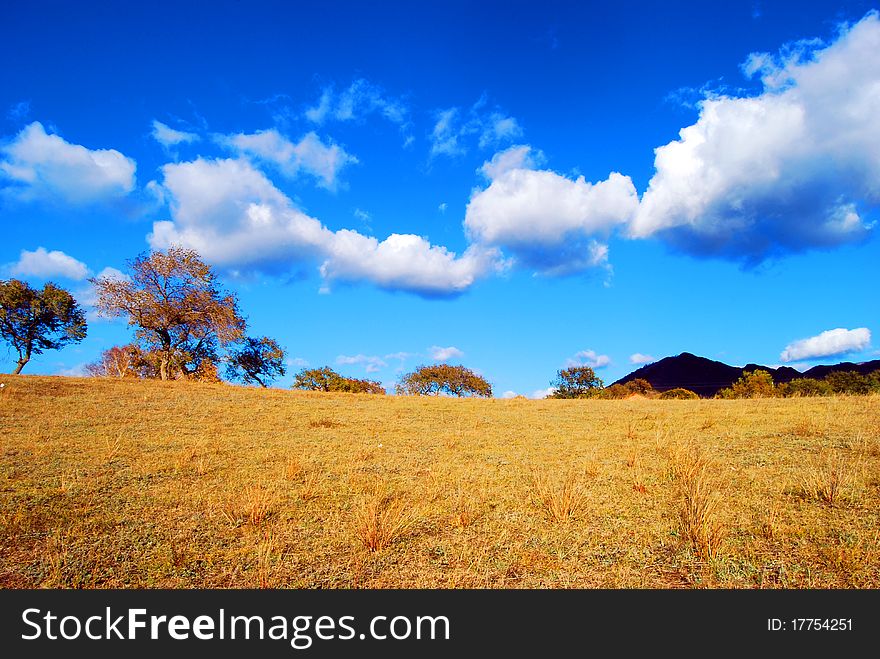 Grass with house and cloud under blue sky. Grass with house and cloud under blue sky.