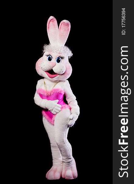 Bunny girl mascot costume confused on black