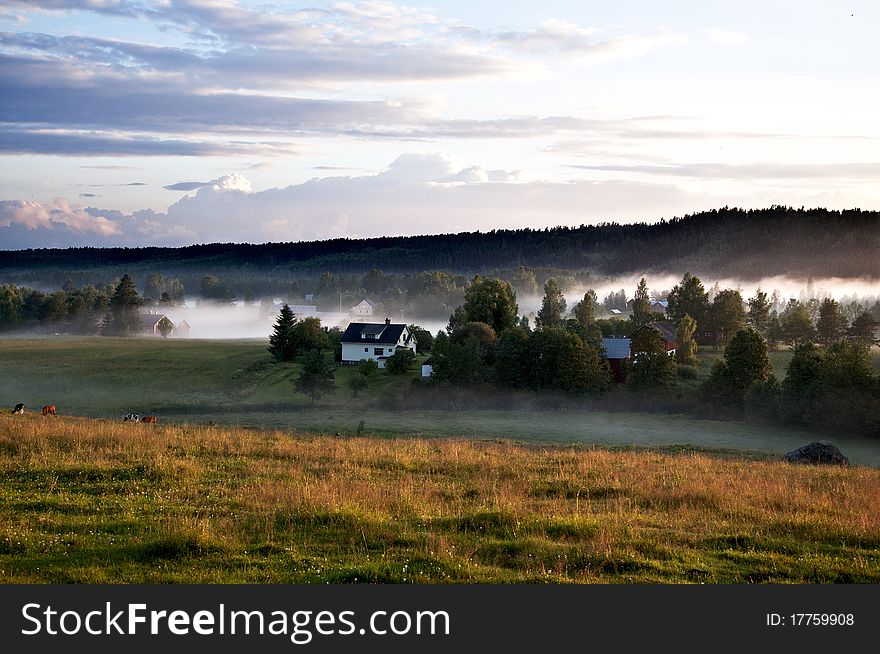 The fog slips in among the houses in the Swedish countryside
