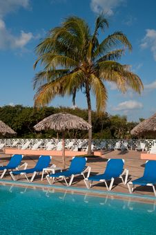 Sun Chairs Next To The Pool In A Tropical Resort Royalty Free Stock Photos Sun Chairs Next To The Pool In A Tropical Resort Royalty Free Stock Photos