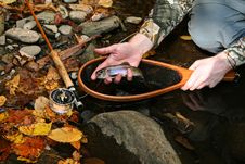 Rainbow Trout And Bamboo Fly Rod Royalty Free Stock Photos Rainbow Trout And Bamboo Fly Rod Royalty Free Stock Photos