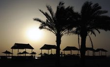 Palm Trees Royalty Free Stock Photo Palm Trees Royalty Free Stock Photo