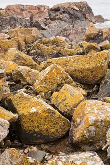 Granite Boulder On Pink Granite Coast In France Royalty Free Stock Photos Granite Boulder On Pink Granite Coast In France Royalty Free Stock Photos