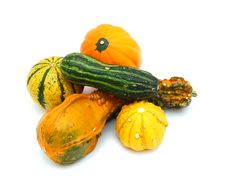 Pumpkins Isolated Stock Photo Pumpkins Isolated Stock Photo