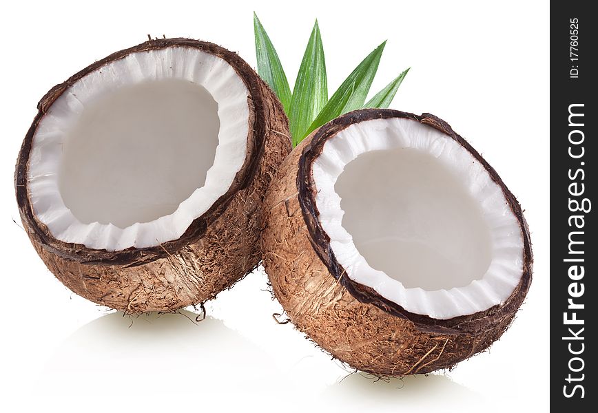 High-quality Photos Of Coconuts.