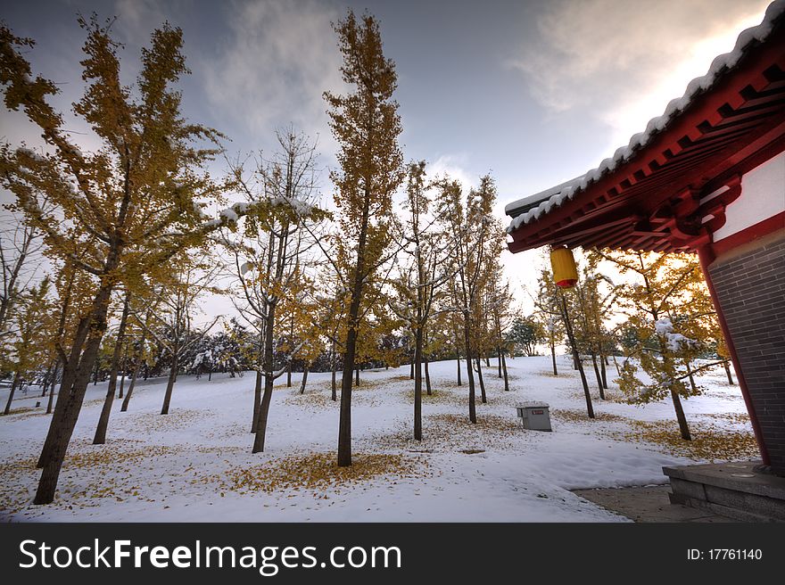 The photo was taken in Qujiang Pool Relic Park( Xi'an city, China) early in the morning while it snowed the last night. The sights is all white and peacful. It reminds us pureful. The photo was taken in Qujiang Pool Relic Park( Xi'an city, China) early in the morning while it snowed the last night. The sights is all white and peacful. It reminds us pureful.