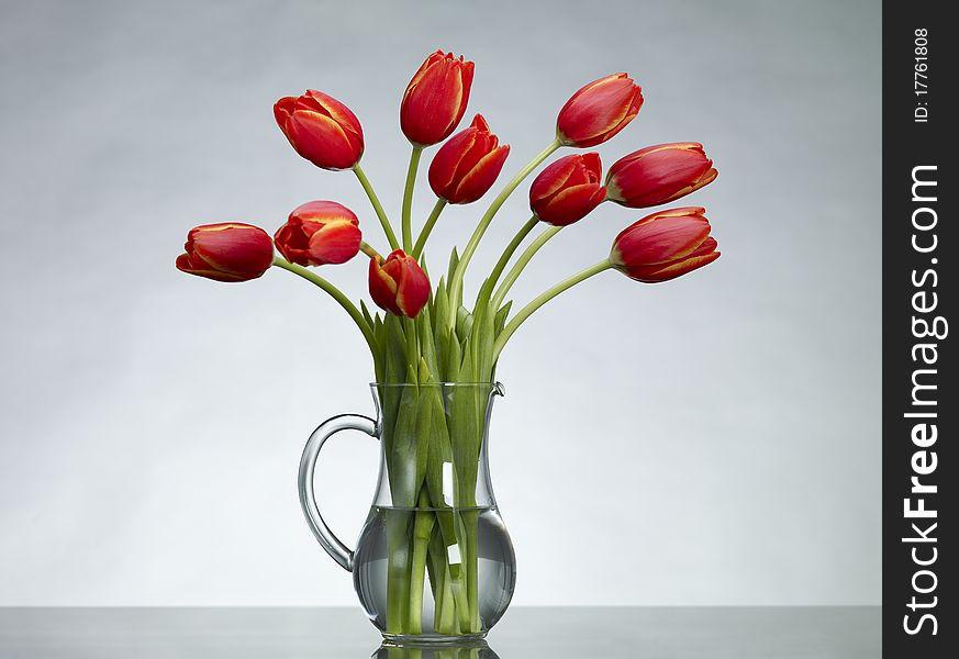 A bouquet red tulips in a glass vase on grey backround.