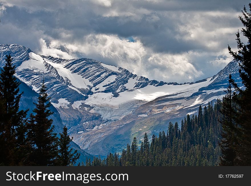 Jackson Glacier Thru Opening In Trees