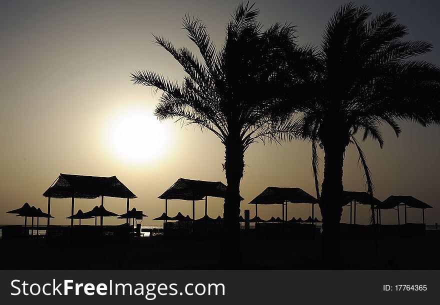 Palm trees and umbrellas at sunrise