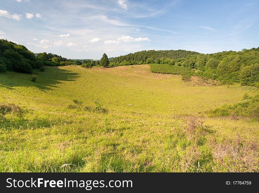 Clearing in hill forest near Gerolstein, Germany