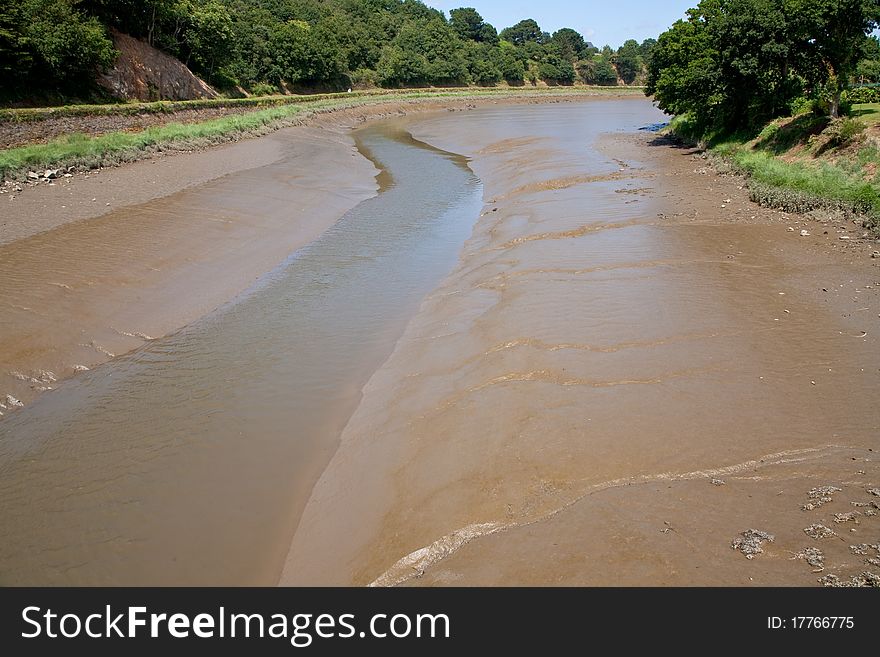 Slimy bottom and bank of shallowed river