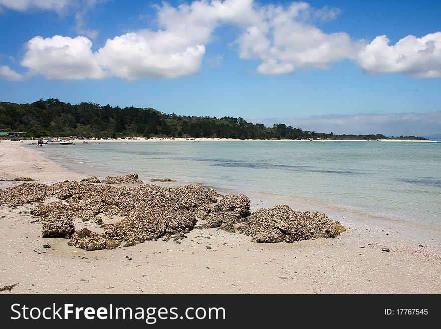 Rangiputa Beach on a beautiful sunny day, Northland, New Zealand. Rangiputa Beach on a beautiful sunny day, Northland, New Zealand