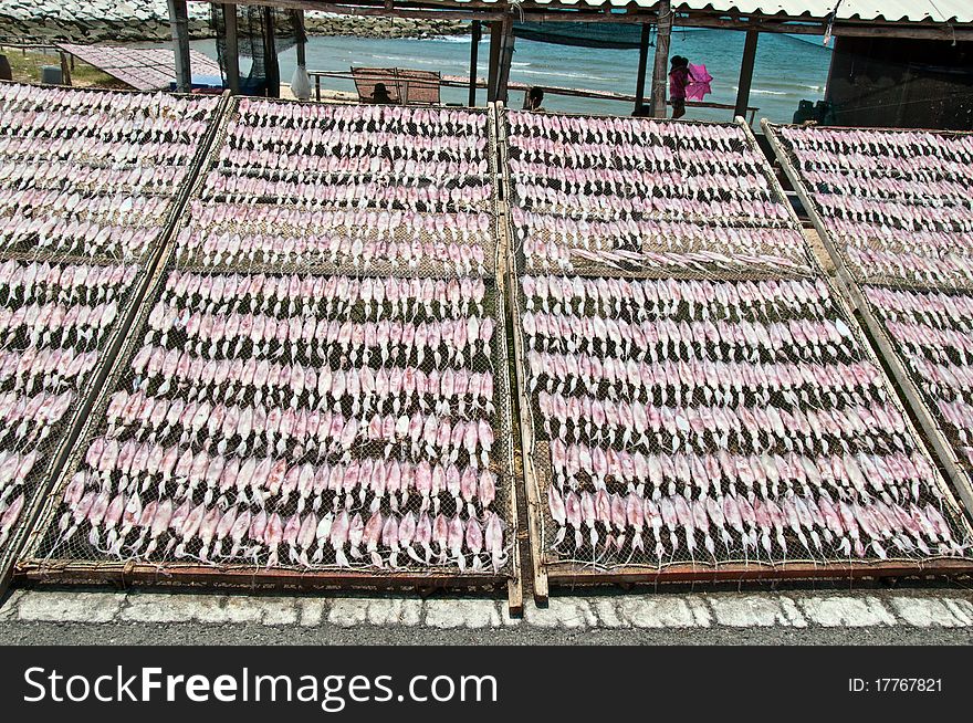 The Dried squid on rayong beach,Thailand