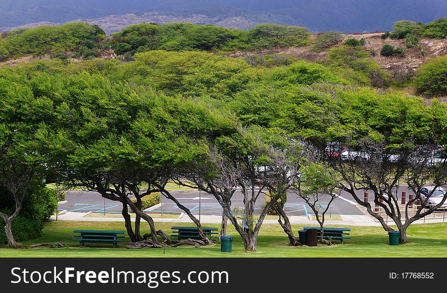 Was taken in Hawaii on the way. Was taken in Hawaii on the way