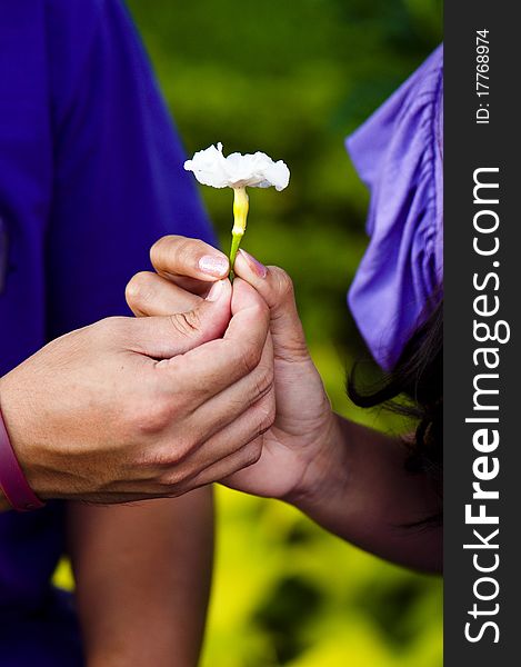 A couple's hands shown holding a white flower. A couple's hands shown holding a white flower