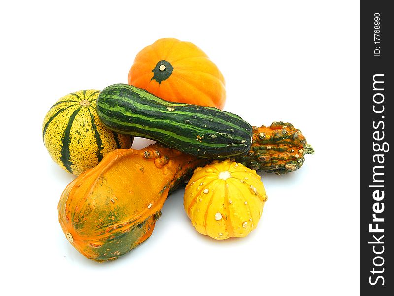 Mini Pumpkins Isolated on a White Background