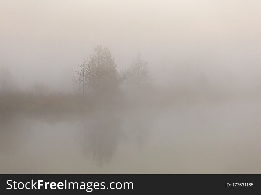 Heavy Dense Fog On A Forest River. Blurred Background And Diverse Shot