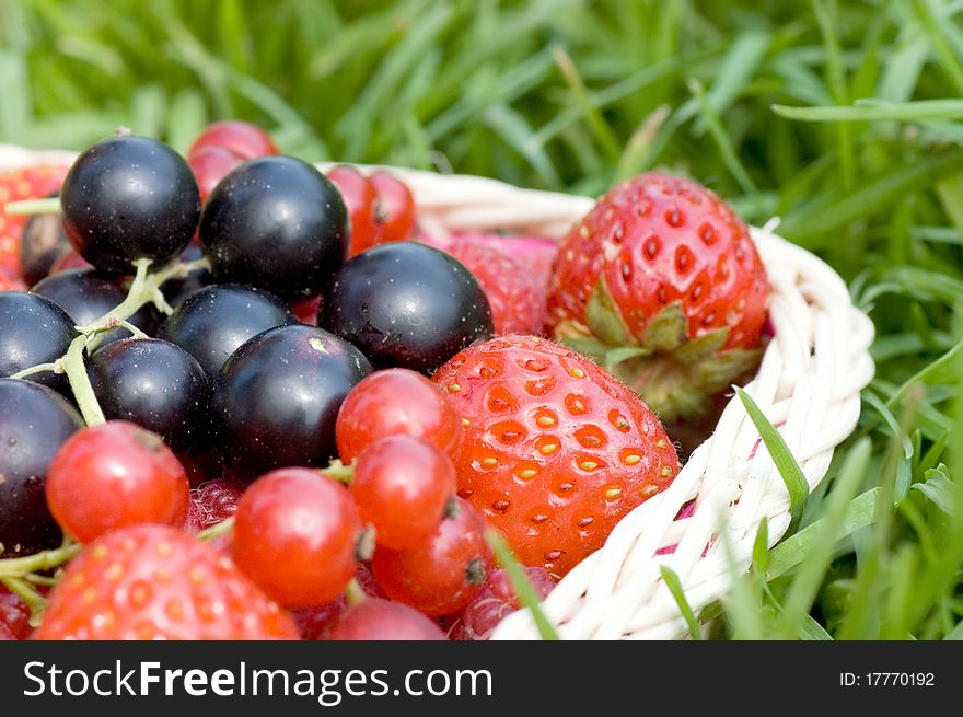 Ripe berries in a basket close up