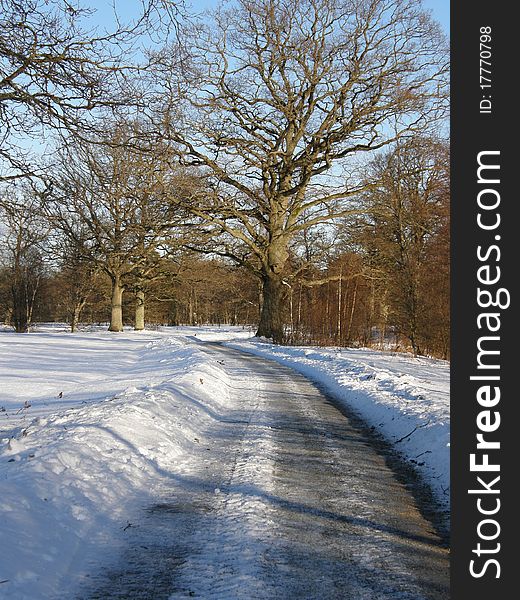 Road Through The Snow