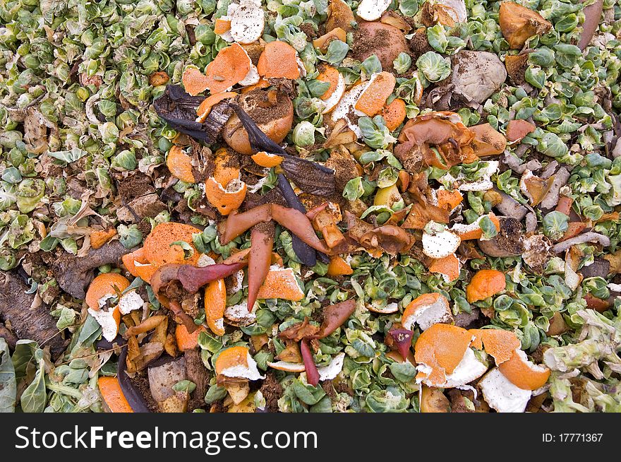 Orange zest and sprouts leaves on a compost heap