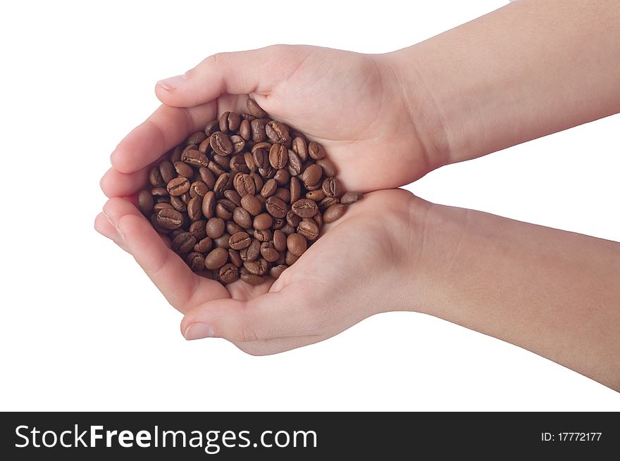 Coffee bean in human hands.