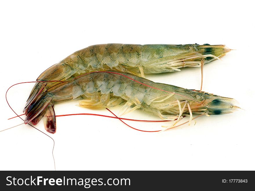 Two Raw shrimp on white