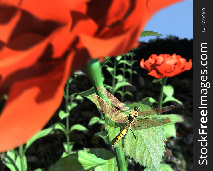 Dragonfly On A Sheet Of Roses