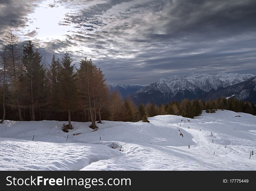 Icy Valley. Top of Campelâ€™s Valley during winter, before a snowfall. Brixia province, Lombardy region, Italy