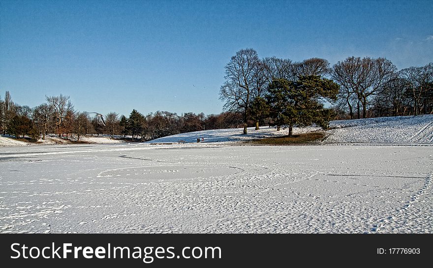 The frozen lake at sefton park liverpool