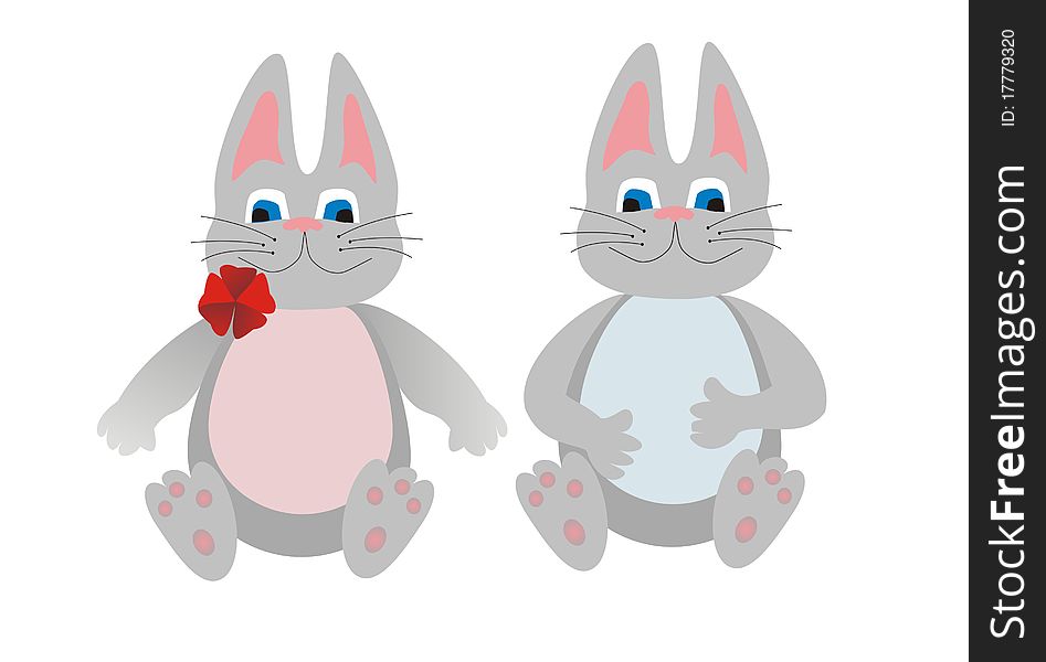 Two gray rabbits, the boy and the girl isolated on a white background. Two gray rabbits, the boy and the girl isolated on a white background