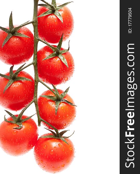 Ripe Tomatoes cherry on white background