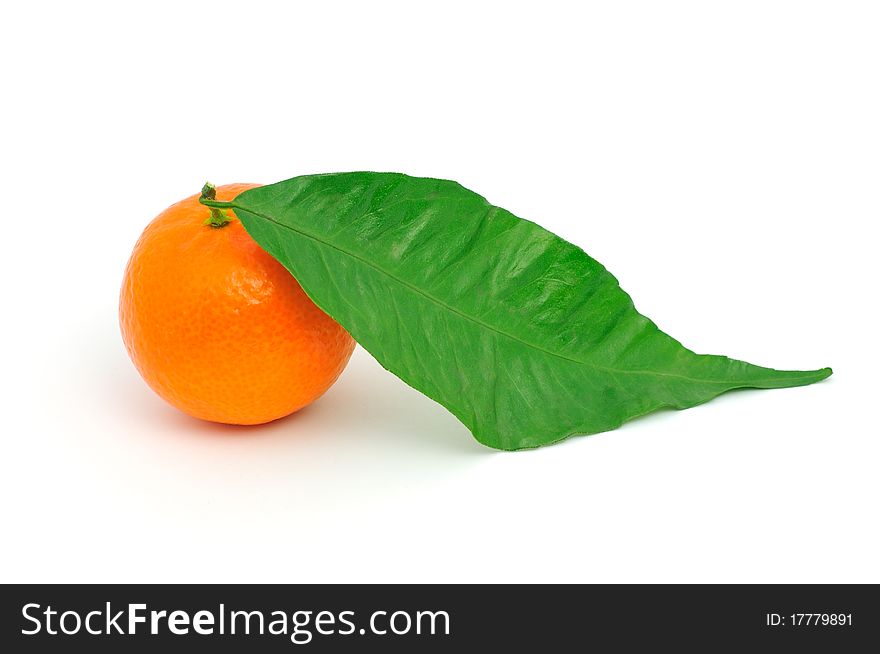 Frash tangerine on stem with green leaves isolated on white. Frash tangerine on stem with green leaves isolated on white