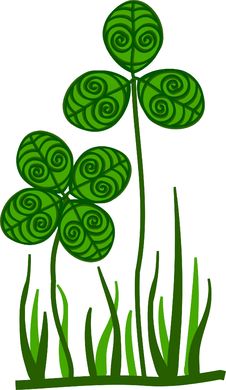 Ornamental Clover Stock Images Ornamental Clover Stock Images