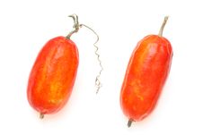 Red Gourd Royalty Free Stock Image