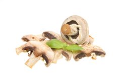 Mushrooms With Basil Stock Image Mushrooms With Basil Stock Image