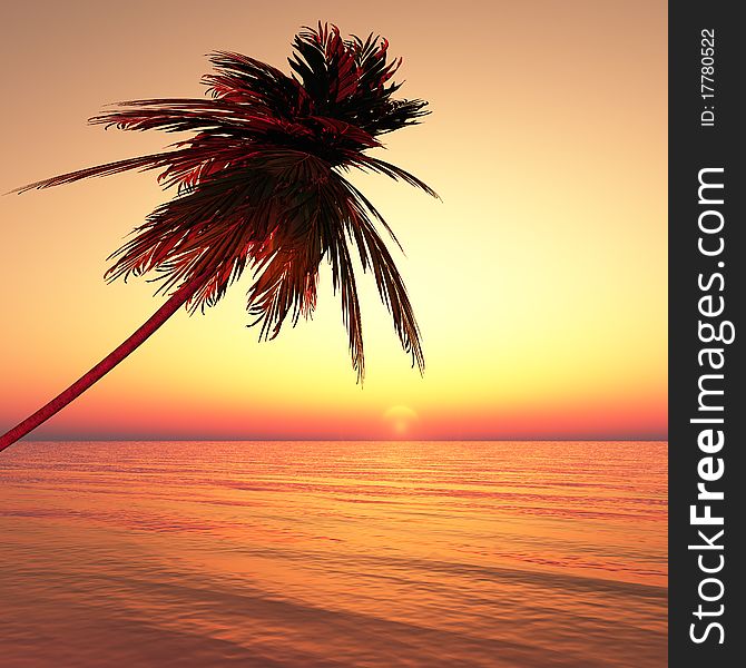 Alone palm at sunset sea