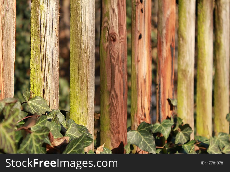 An wooden fence in the winter. An wooden fence in the winter