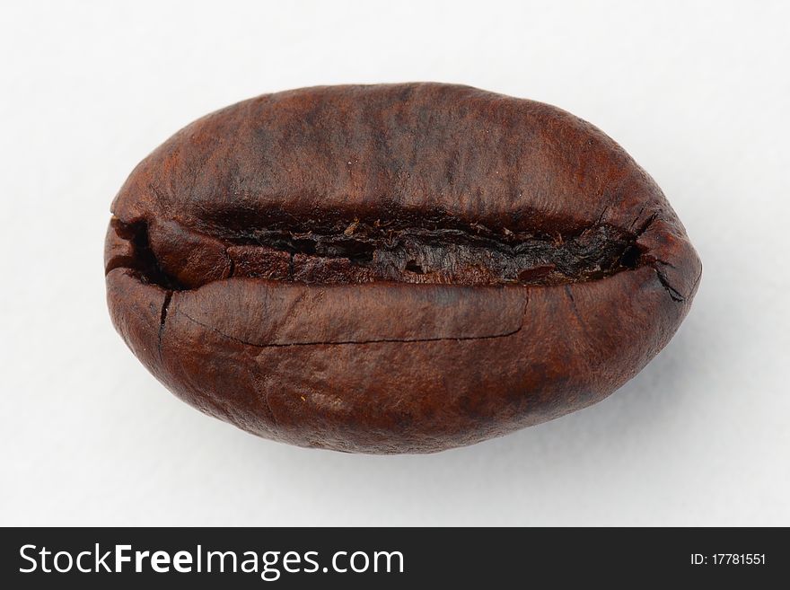 Isolated macro shot of coffee bean