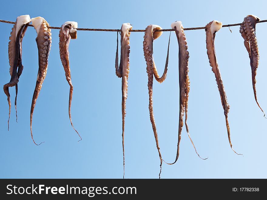 Octopus hanging from a rope against the blue sky