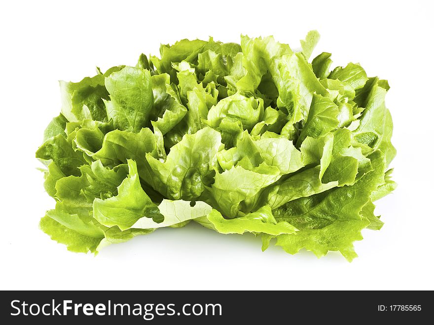 Fresh green lettuce isolated over white background