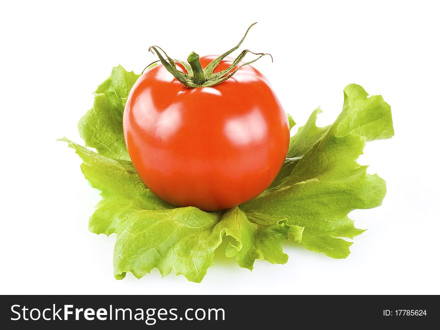 Fresh tomato and lettuce isolated over white background. Fresh tomato and lettuce isolated over white background