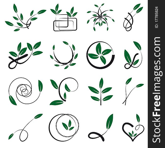 Set of leafy elements for design. Set of leafy elements for design