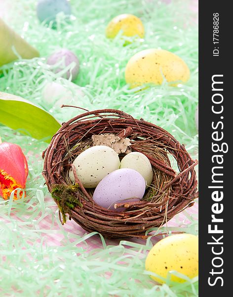 Colorful painted Easter eggs green, pink, yellow in birds nest decorated with spring tulips flowers on a pastel background