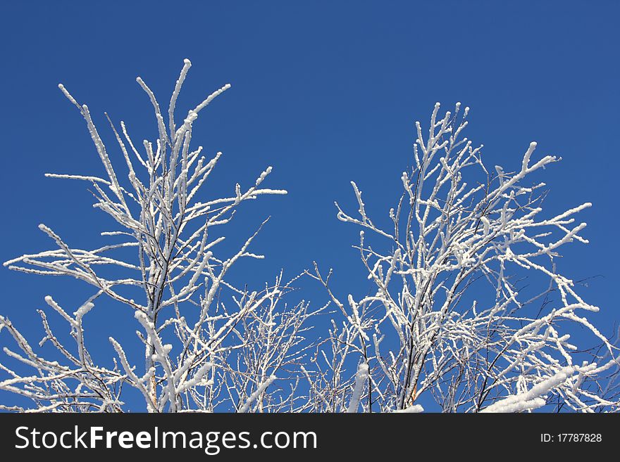 Winter day, december in Russia