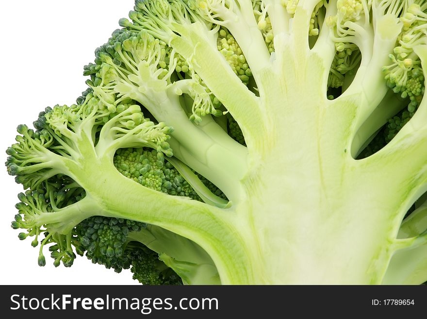 Macro Close up view of the broccoli on white background