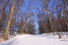 Winter Time Stock Images Winter Time Stock Images
