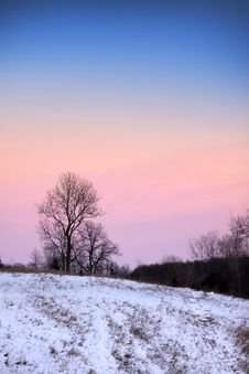 Trees In Winter Time Royalty Free Stock Photo Trees In Winter Time Royalty Free Stock Photo