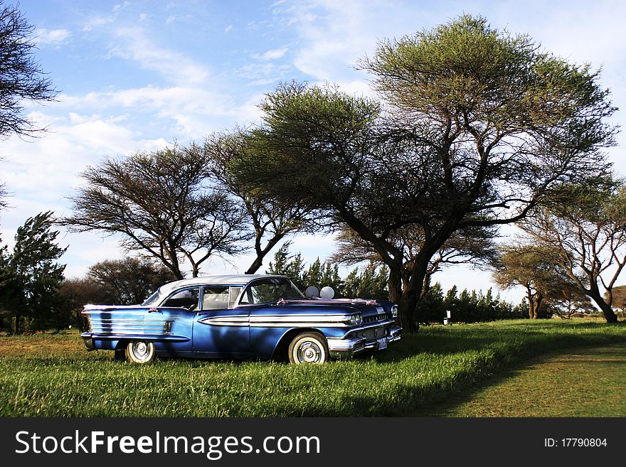 Blue and white vintage car parked under acacia trees. Blue and white vintage car parked under acacia trees