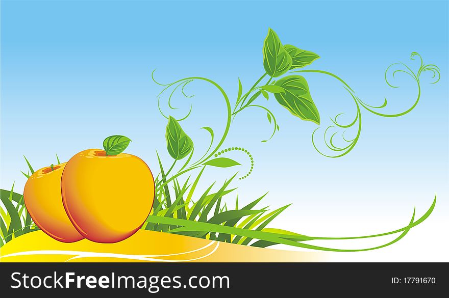 Two yellow apples among grass. Illustration